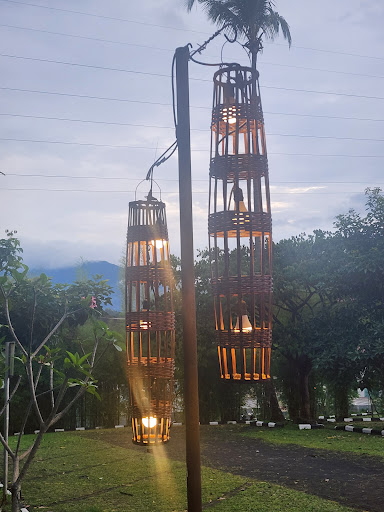 Photo from customer review