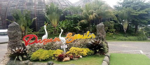 Photo from customer review